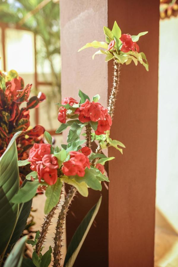 Casa Saab Aparthotel Playa del Carmen Ngoại thất bức ảnh
